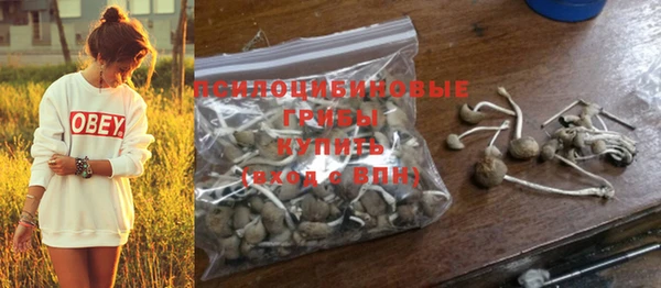 прущие крисы Армянск