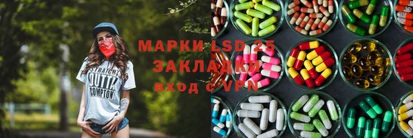 индика Алзамай