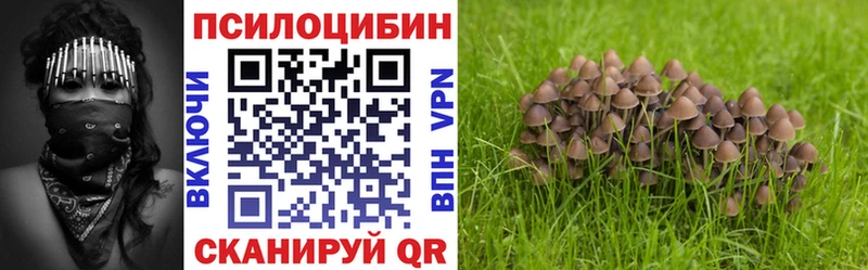 Галлюциногенные грибы GOLDEN TEACHER  купить наркотик  Петропавловск-Камчатский 